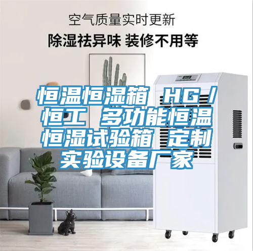恒溫恒濕箱 HG／恒工 多功能恒溫恒濕試驗(yàn)箱 定制實(shí)驗(yàn)設(shè)備廠(chǎng)家