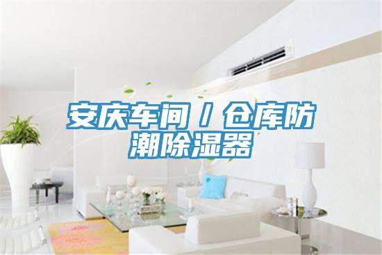 安慶車間／倉(cāng)庫(kù)防潮除濕器