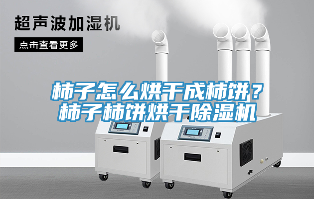 柿子怎么烘干成柿餅？柿子柿餅烘干除濕機(jī)