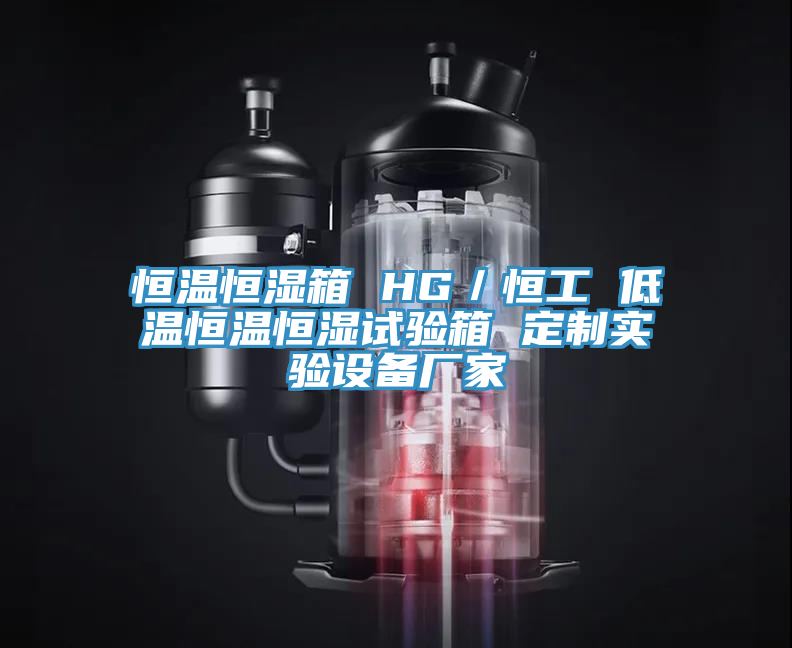 恒溫恒濕箱 HG／恒工 低溫恒溫恒濕試驗(yàn)箱 定制實(shí)驗(yàn)設(shè)備廠(chǎng)家
