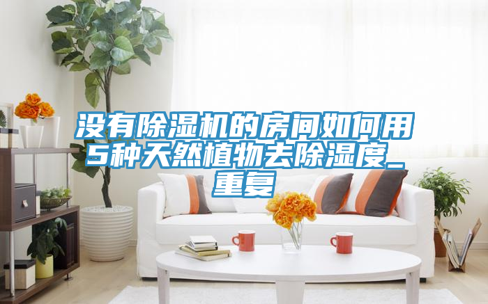 沒有除濕機(jī)的房間如何用5種天然植物去除濕度_重復(fù)