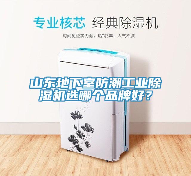 山東地下室防潮工業(yè)除濕機(jī)選哪個(gè)品牌好？