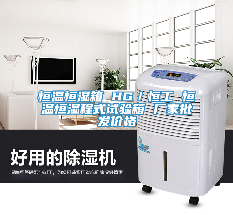 恒溫恒濕箱 HG／恒工 恒溫恒濕程式試驗(yàn)箱 廠(chǎng)家批發(fā)價(jià)格