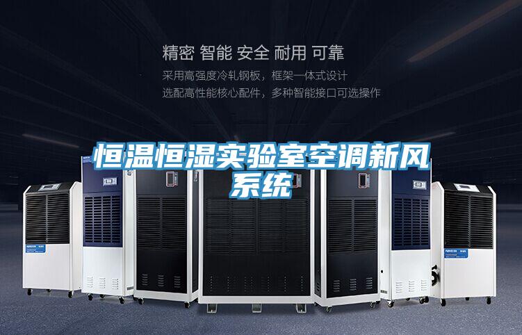 恒溫恒濕實驗室空調(diào)新風系統(tǒng)