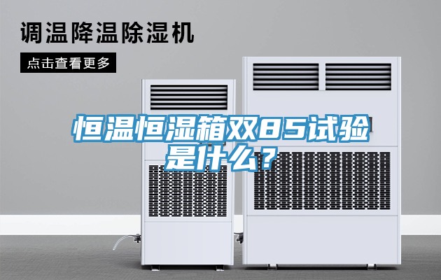 恒溫恒濕箱雙85試驗是什么？