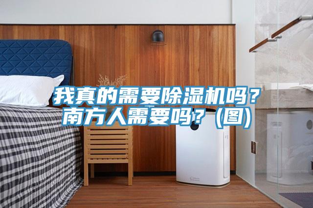 我真的需要除濕機嗎？南方人需要嗎？(圖)