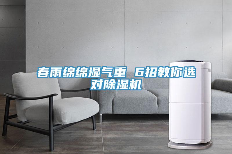 春雨綿綿濕氣重 6招教你選對(duì)除濕機(jī)