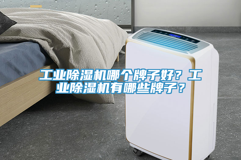 工業(yè)除濕機(jī)哪個(gè)牌子好？工業(yè)除濕機(jī)有哪些牌子？