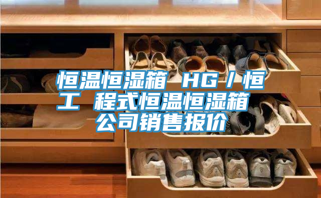 恒溫恒濕箱 HG／恒工 程式恒溫恒濕箱 公司銷(xiāo)售報(bào)價(jià)