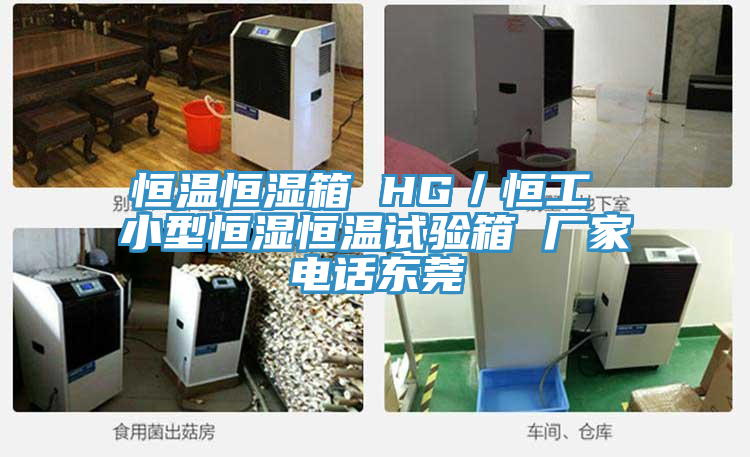 恒溫恒濕箱 HG／恒工 小型恒濕恒溫試驗(yàn)箱 廠(chǎng)家電話(huà)東莞