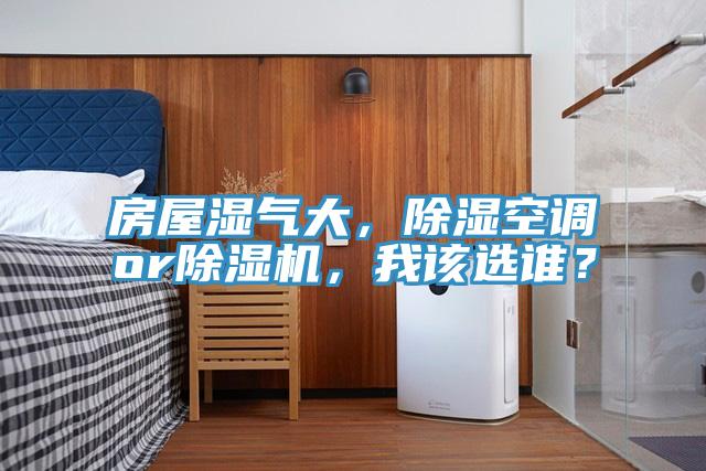房屋濕氣大，除濕空調(diào)or除濕機，我該選誰？