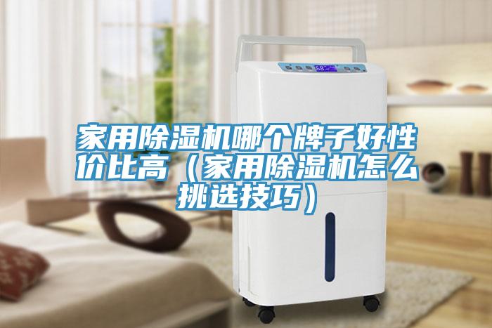 家用除濕機哪個牌子好性價比高（家用除濕機怎么挑選技巧）