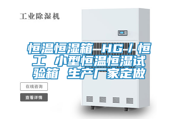 恒溫恒濕箱 HG／恒工 小型恒溫恒濕試驗(yàn)箱 生產(chǎn)廠(chǎng)家定做