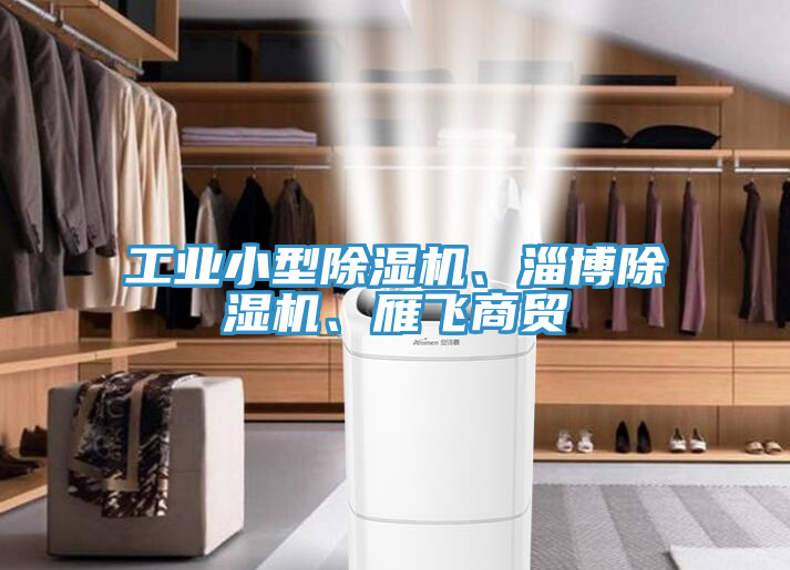 工業(yè)小型除濕機(jī)、淄博除濕機(jī)、雁飛商貿(mào)
