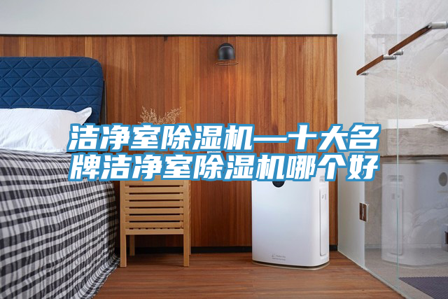 潔凈室除濕機(jī)—十大名牌潔凈室除濕機(jī)哪個(gè)好