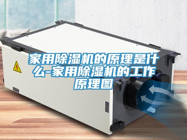 家用除濕機(jī)的原理是什么-家用除濕機(jī)的工作原理圖