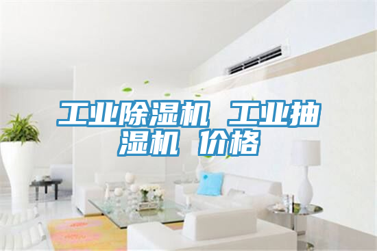 工業(yè)除濕機(jī) 工業(yè)抽濕機(jī) 價格
