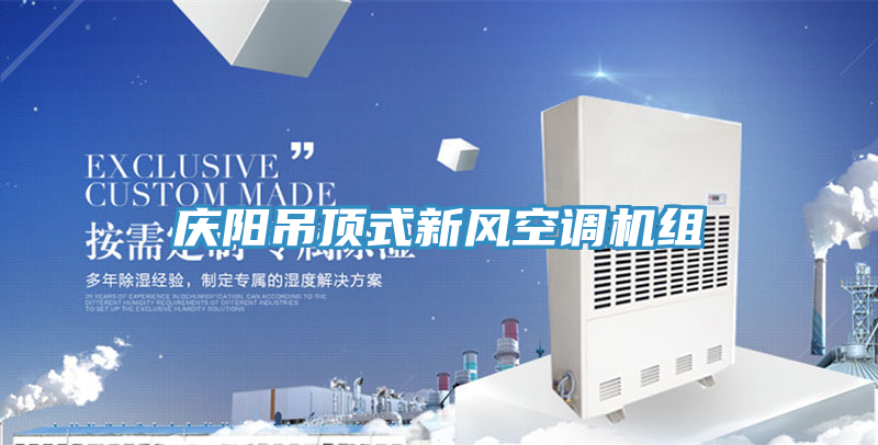 慶陽吊頂式新風(fēng)空調(diào)機組