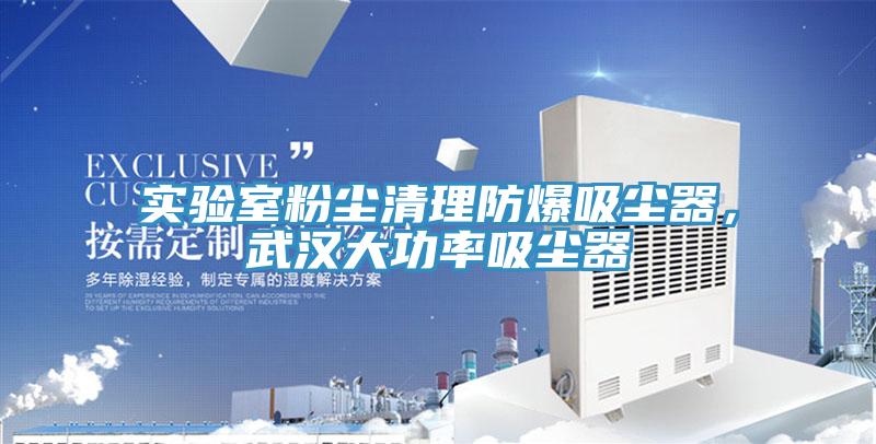 實驗室粉塵清理防爆吸塵器，武漢大功率吸塵器