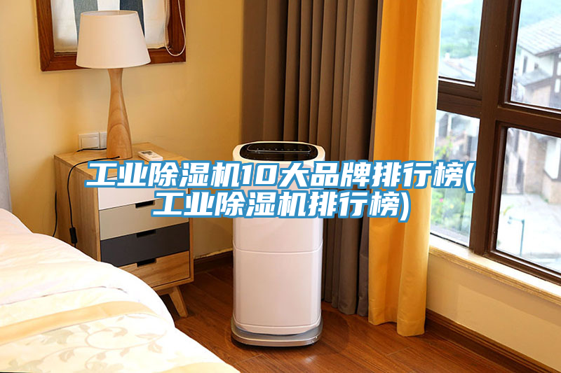 工業(yè)除濕機10大品牌排行榜(工業(yè)除濕機排行榜)