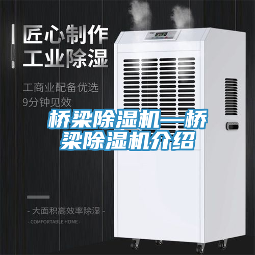 橋梁除濕機(jī)—橋梁除濕機(jī)介紹