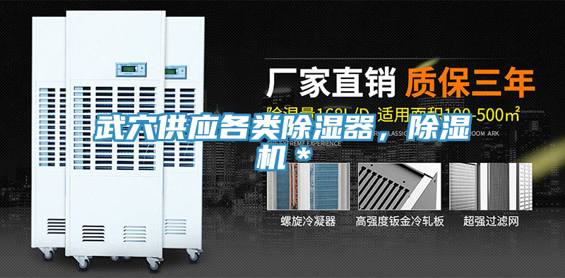 武穴供應各類除濕器，除濕機＊