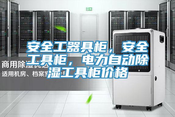 安全工器具柜，安全工具柜，電力自動除濕工具柜價格