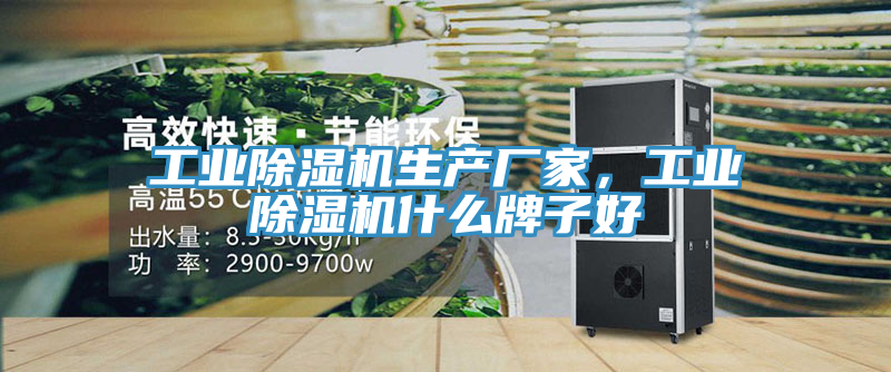 工業(yè)除濕機(jī)生產(chǎn)廠家，工業(yè)除濕機(jī)什么牌子好