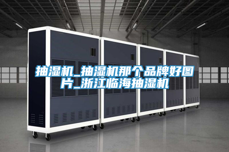 抽濕機_抽濕機那個品牌好圖片_浙江臨海抽濕機