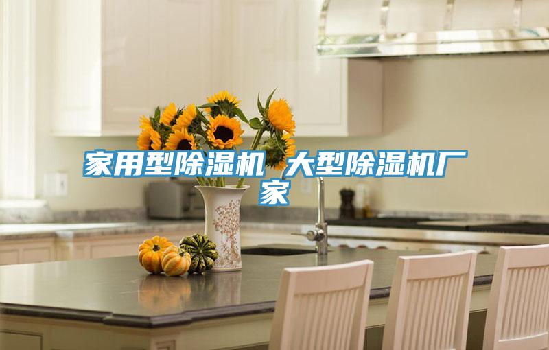 家用型除濕機 大型除濕機廠家