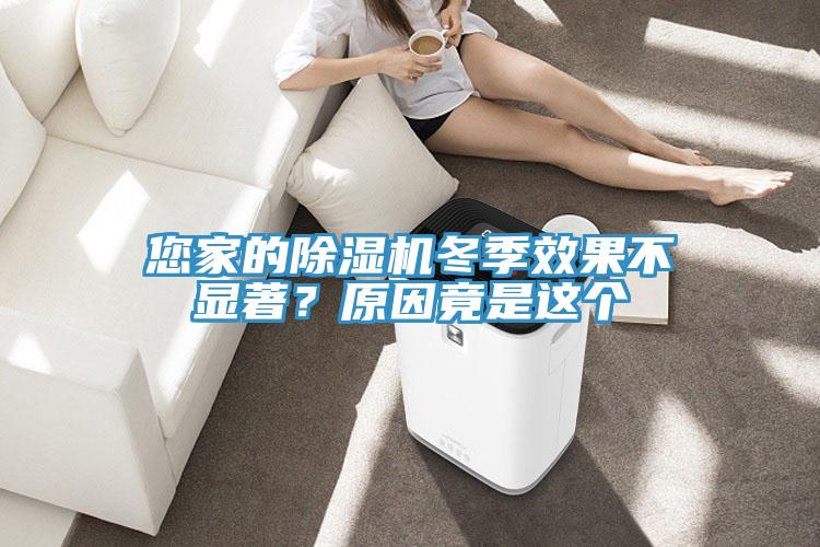 您家的除濕機(jī)冬季效果不顯著？原因竟是這個