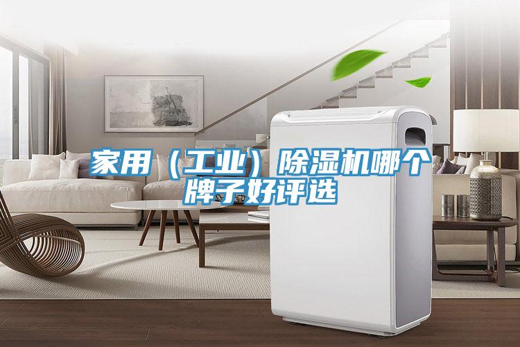 家用（工業(yè)）除濕機(jī)哪個(gè)牌子好評選