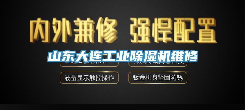 山東大連工業(yè)除濕機(jī)維修