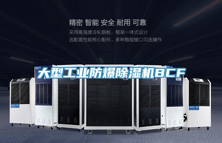 大型工業(yè)防爆除濕機(jī)BCF