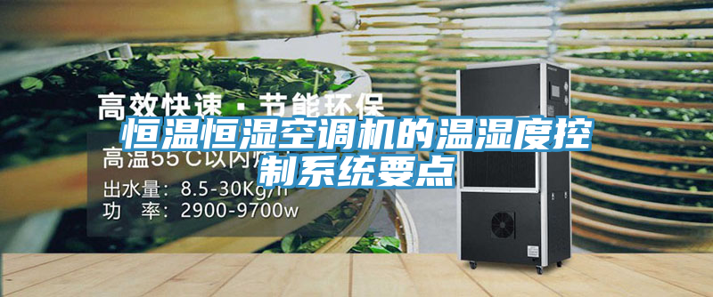 恒溫恒濕空調(diào)機的溫濕度控制系統(tǒng)要點