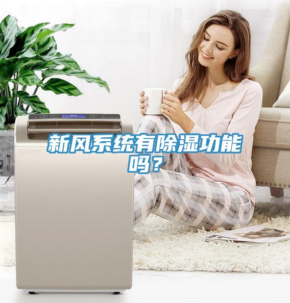 新風(fēng)系統(tǒng)有除濕功能嗎？