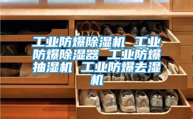 工業(yè)防爆除濕機(jī) 工業(yè)防爆除濕器 工業(yè)防爆抽濕機(jī) 工業(yè)防爆去濕機(jī)