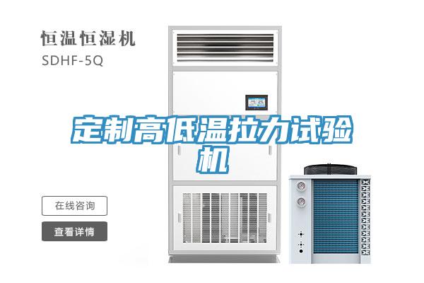 定制高低溫拉力試驗機