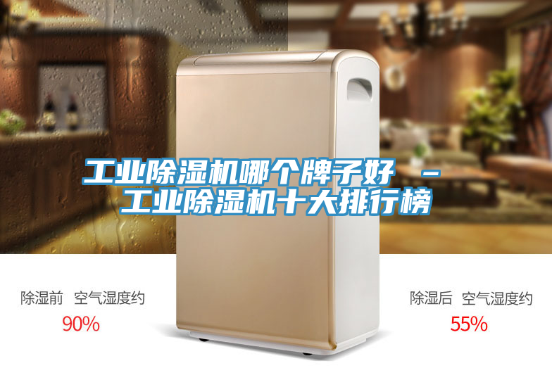 工業(yè)除濕機(jī)哪個牌子好 – 工業(yè)除濕機(jī)十大排行榜