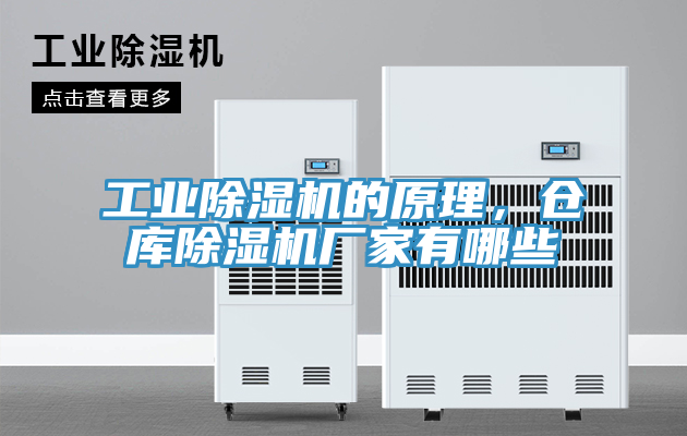工業(yè)除濕機(jī)的原理，倉(cāng)庫(kù)除濕機(jī)廠家有哪些
