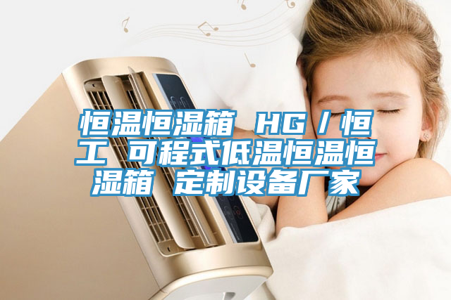 恒溫恒濕箱 HG／恒工 可程式低溫恒溫恒濕箱 定制設(shè)備廠(chǎng)家
