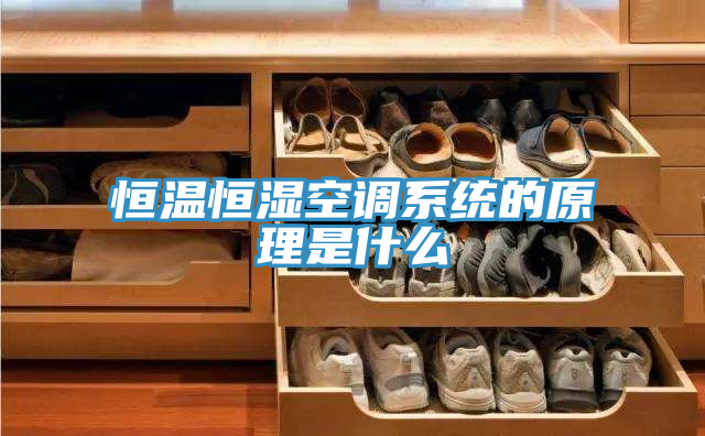 恒溫恒濕空調(diào)系統(tǒng)的原理是什么