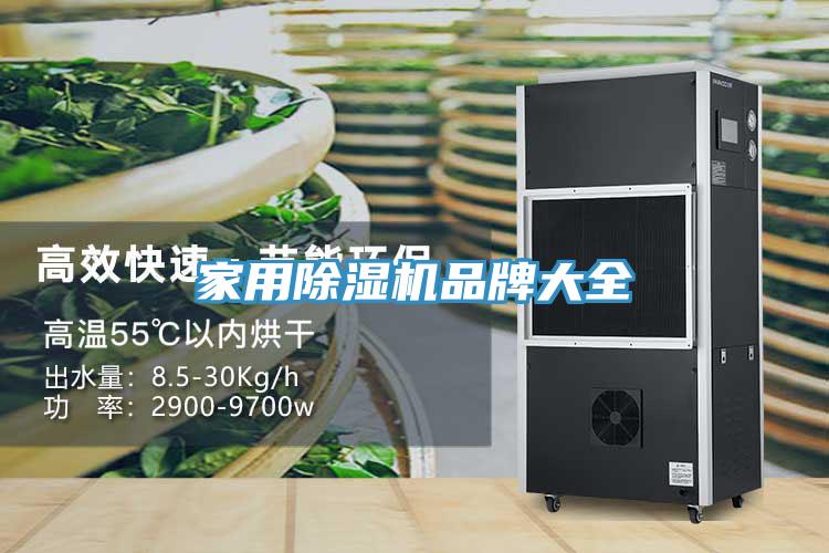 家用除濕機(jī)品牌大全