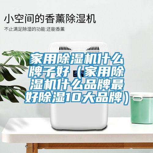 家用除濕機(jī)什么牌子好（家用除濕機(jī)什么品牌最好除濕10大品牌）