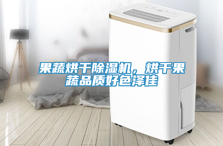 果蔬烘干除濕機(jī)，烘干果蔬品質(zhì)好色澤佳