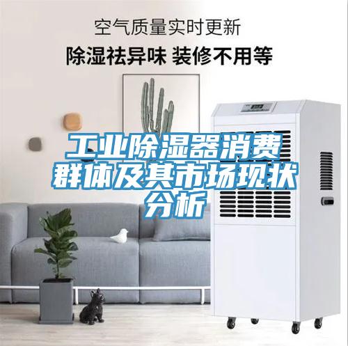 工業(yè)除濕器消費(fèi)群體及其市場(chǎng)現(xiàn)狀分析