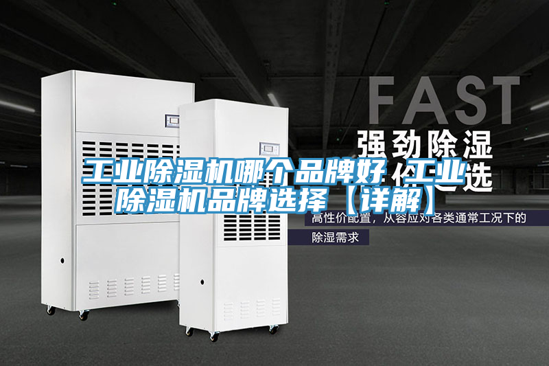 工業(yè)除濕機(jī)哪個品牌好 工業(yè)除濕機(jī)品牌選擇【詳解】
