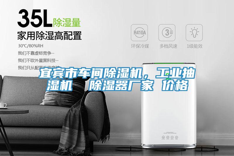 宜賓市車間除濕機，工業(yè)抽濕機  除濕器廠家 價格