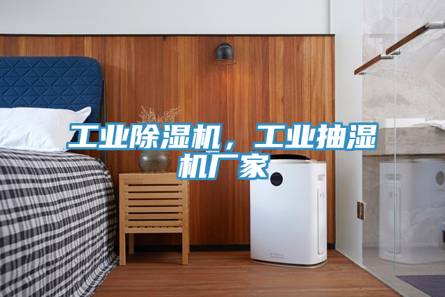 工業(yè)除濕機(jī)，工業(yè)抽濕機(jī)廠家