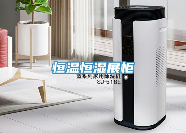 恒溫恒濕展柜